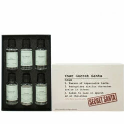 Secret Santa Christmas Gin Gift Set -UK Liquor Sales 2024 giftbox secretsanta insideshot gin ps